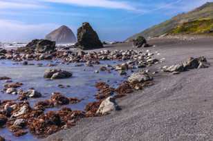 The Lost Coast-3624.jpg The Lost Coast-3624.jpg